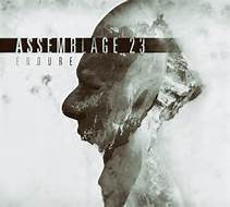 Assemblage 23 - Endure (CD)