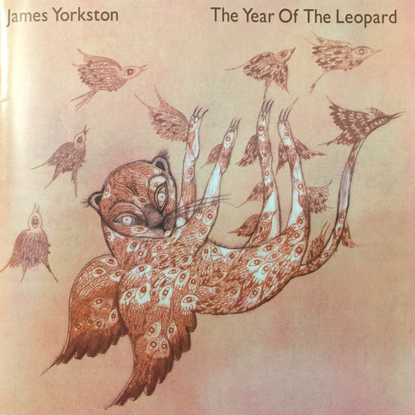 James Yorkston - The Year Of The Leopard (CD)