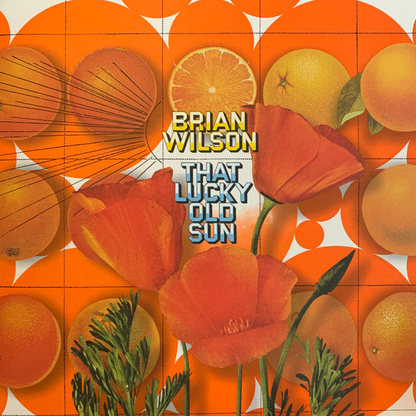 Brian Wilson - That Lucky Old Sun