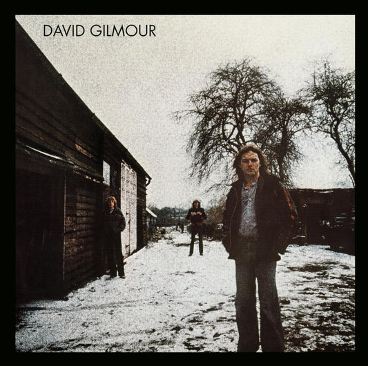 DAVID GILMOUR - DAVID GILMOUR