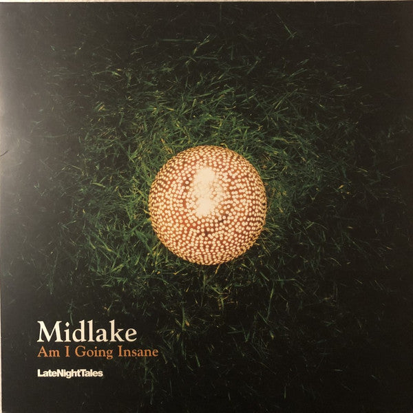 Midlake - Am I Going Insane